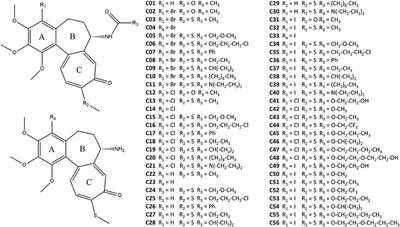 In silico Investigations of the Mode of Action of Novel Colchicine Derivatives Targeting β-Tubulin Isotypes: A Search for a Selective and Specific β-III Tubulin Ligand